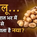 कहीं आप भी तो नही खा रहे हैं जहरीला आलू, मुनाफाखोर पुराने को केमिकल से बना रहे नया, पढ़ें ये रिपोर्ट