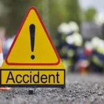 सीमेंट से लदा ट्रक खाई में गिरा, चालक की मौत