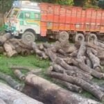 साल की लकड़ी से लदा ट्रक पकड़ा, वन विकास निगम के चार कर्मचारी निलंबित