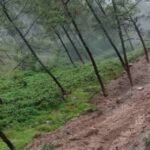 Uttarakhand Breaking : चमोली के सगवाड़ा गांव में अतिवृष्टि का कहर, मलबा बहा ले गया मकान