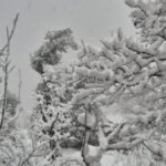 ज्योतिर्मठ में तीन माह बाद टूटा सूखे का सिलसिला