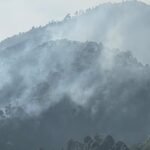 उठो जागो वन विभाग, जंगलों को आग से बचाओ