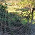 डीएम स्वाति एस. भदौरिया की पहल से किसानों को बड़ी राहत, जंगली जानवरों से फसलों की सुरक्षा के लिए घेरबाड़ योजना बनी कारगर, 339 हेक्टेयर कृषि भूमि सुरक्षित