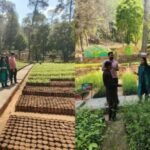 नक्षत्र वाटिका को पर्यटन एवं आकर्षक स्थल के रूप में किया जाएगा विकसित – डीएम आकांक्षा कोंडे