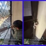 मसूरी में अवैध निर्माण पर एमडीडीए का शिकंजा, कैमल बैंक रोड स्थित भवन सील, बिना मानचित्र स्वीकृति निर्माण पर कार्रवाई, टीम के साथ पुलिस बल रहा मौजूद