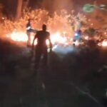 पौड़ी में बढ़ीं जंगलों में आग की घटनाएं, वन विभाग अलर्ट मोड पर