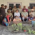 पूर्व केंद्रीय मंत्री मेनका गांधी की सूचना पर छापा, 109 संरक्षित तोते बरामद, चार गिरफ्तार
