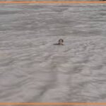 कर्णप्रयाग संगम में युवक ने लगाई छलांग