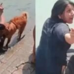 हरिद्वार में विवाद, गंगा में कुत्ते का स्नान और मछलियों का शिकार