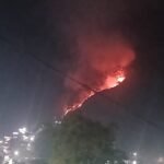 जंगलो में लगी आग से वन संपदा को हो रहा नुकसान