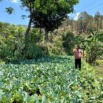 पहाड़ में समृद्धि की नई इबारत : आधुनिक खेती से स्वरोजगार और आत्मनिर्भरता की मिसाल बने पौड़ी के नरेश भट्ट